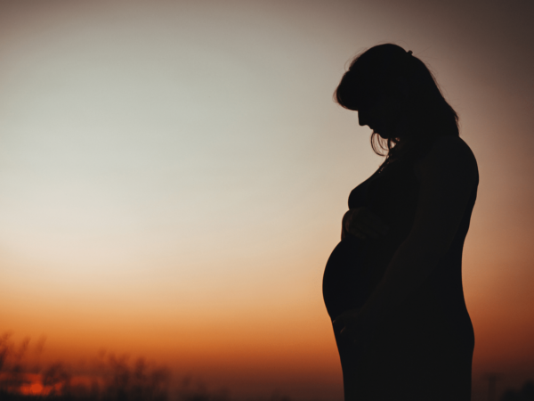 On the Enchanting Journey of Pregnancy: A Step-by-Step Glimpse into Motherhood