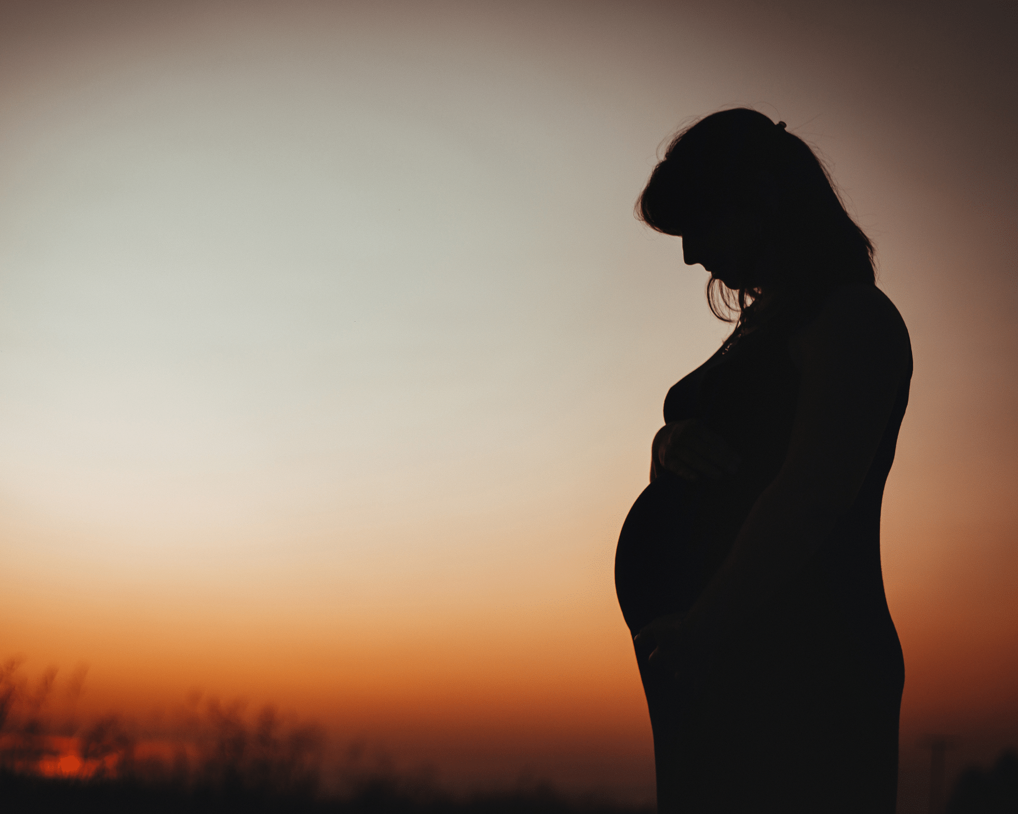 On the Enchanting Journey of Pregnancy: A Step-by-Step Glimpse into Motherhood