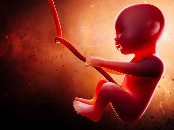 Animating Your Baby’s Miraculous Development: Beyond a Memory