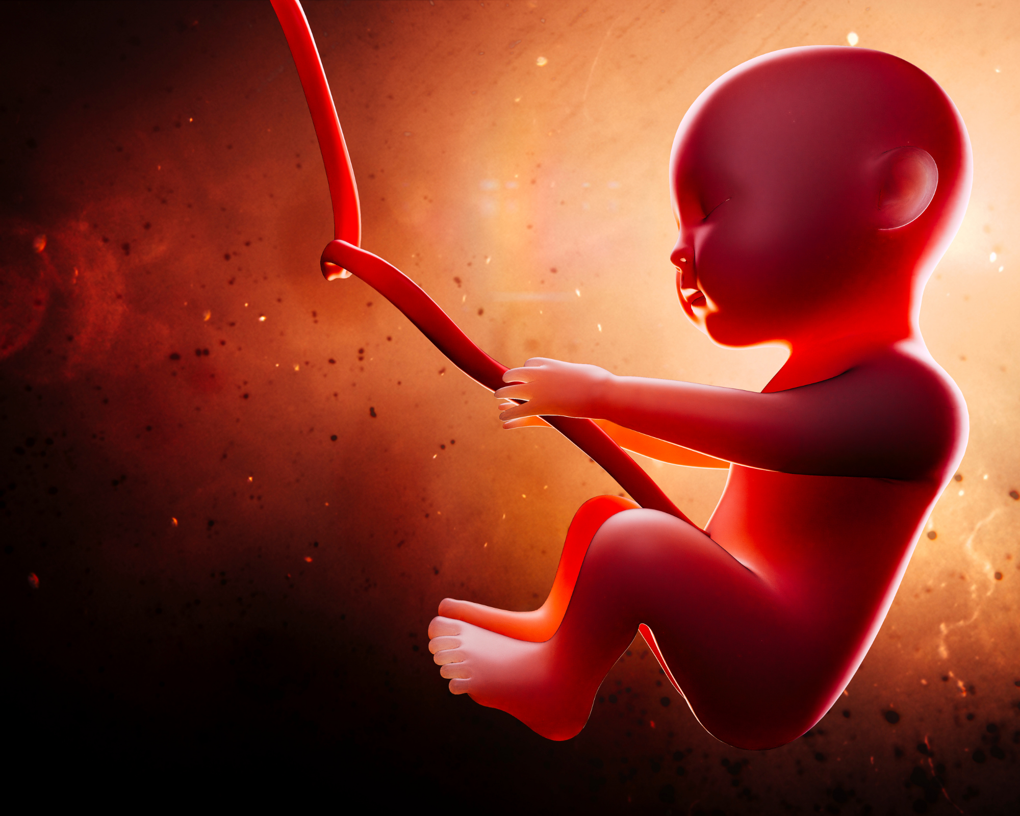 Animating Your Baby’s Miraculous Development: Beyond a Memory